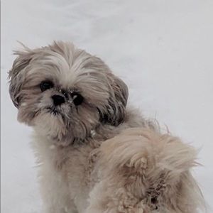 Meet your Posher, Doris